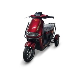 4.10.Hongka ( Hoken )